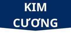 Gói bảo hiểm du lịch quốc tế PVI hạng kim cương