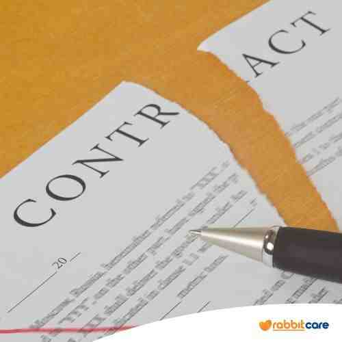 hủy hợp đồng vay tiền online có được không