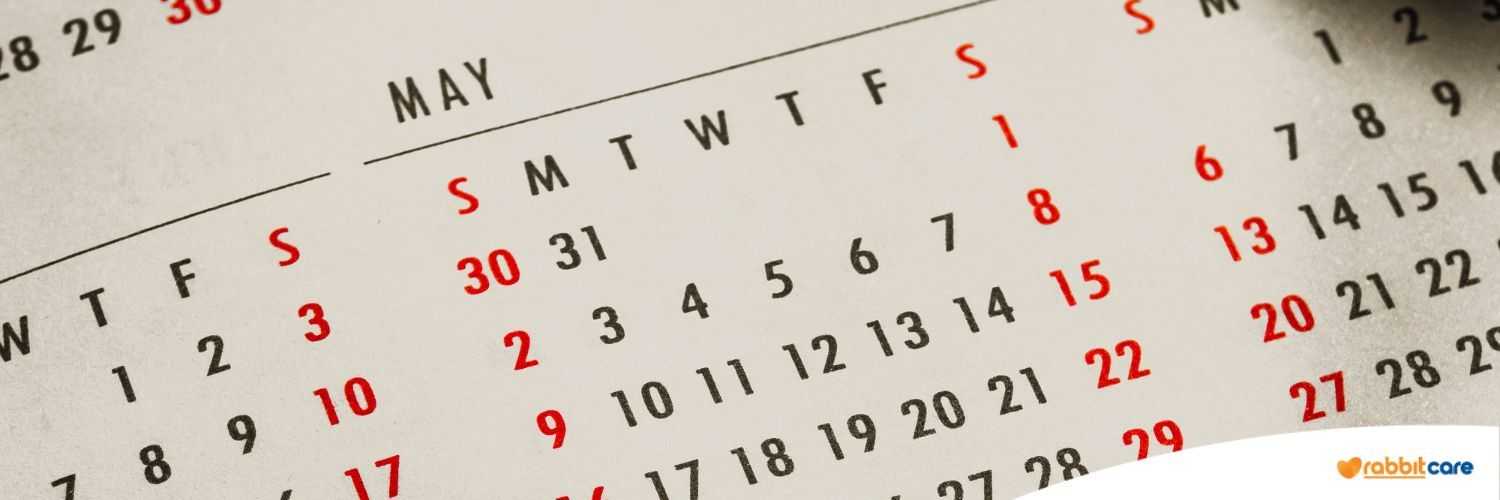 kiểm tra hợp đồng trả góp còn bao nhiêu tháng