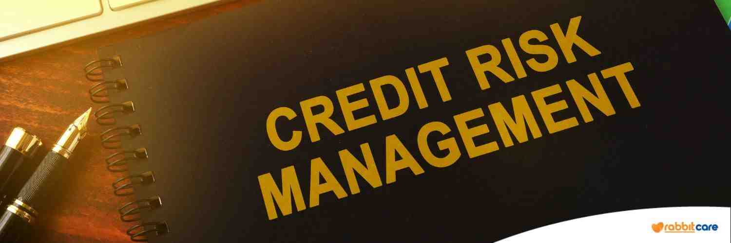 rủi ro tín dụng là gì