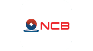 NCB logo.png